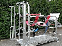 DM-Handel GmbH Fang-und Behandlungsstand✅mechanisch Klauenpflege verzinkt Klauenpflegestand Rinder Kühe Kälber Behandlungsbox Klauenstand Untersuchungsstand Besamungsstand Fangstand Fanganlage Behandlungskäfig
