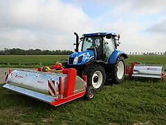 KLOPPENBURG ; AVR ; MIEDEMA; CARLOTTI;   (Süsskartoffeln, BATATAs) KFK 475 ; KRB 475 ; KS 75-4 ; Krautzieher; Krautzupfer; Krautschlaeger ; Krautpuller;