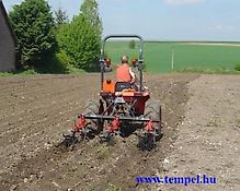 AKPIL PIEL 3   ( auch mit Dammstriegel)