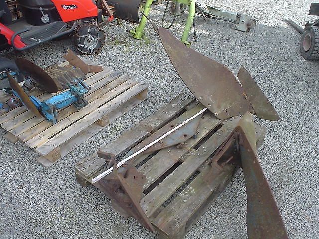 Rabe Pfluggrindel mit Schar