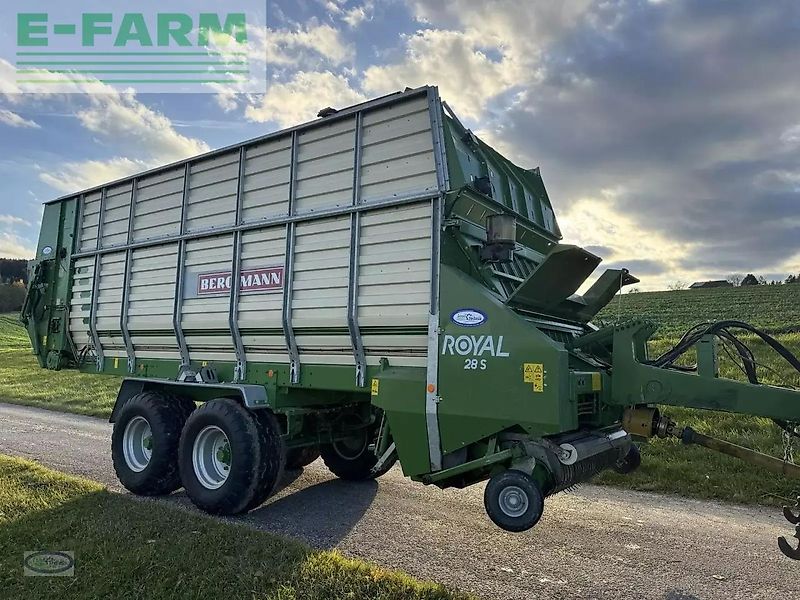 Bergmann royal 28 s