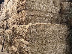 Heu Heu 1. Schnitt / Ernte 2025 / Stroh