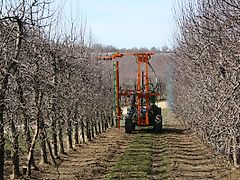 COUPECO COSMOS ; KMS ; COSMOS 350 ;