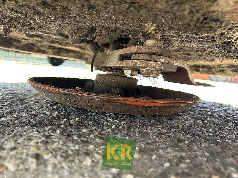 Giant palenmaaier #775371