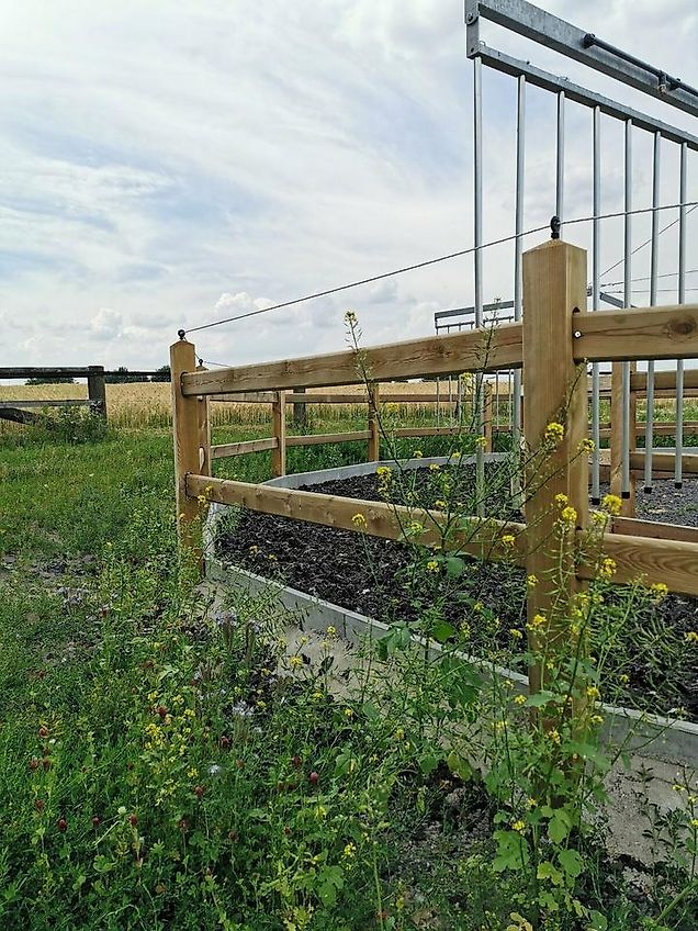 Reitplatzzaun Weidezaun | Concept Holzzaun Lux-Quadrat pro Meter