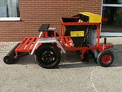 FERRARI STAR 204 , Zwiebel ,Blumen, Knoblauch ( verschiedene Reihenabstaende möglich )