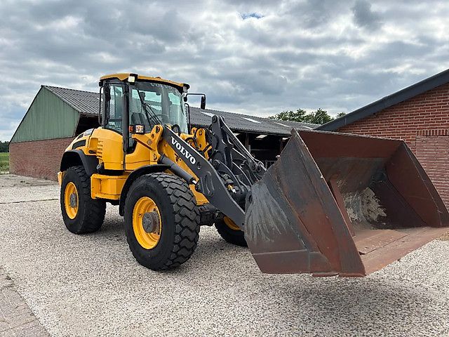 Volvo L45F